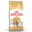 Royal Canin Cat Dry Food -Indoor Digestive Exigent Urinary Hairball Fit 32, Sensible Sterilised Aging Kitten