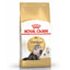 Royal Canin Cat Dry Food -Indoor Digestive Exigent Urinary Hairball Fit 32, Sensible Sterilised Aging Kitten