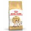 Royal Canin Cat Dry Food -Indoor Digestive Exigent Urinary Hairball Fit 32, Sensible Sterilised Aging Kitten