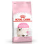 Royal Canin Cat Dry Food -Indoor Digestive Exigent Urinary Hairball Fit 32, Sensible Sterilised Aging Kitten