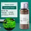 YEE Aquarium Plant Seeds