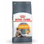 Royal Canin Cat Dry Food -Indoor Digestive Exigent Urinary Hairball Fit 32, Sensible Sterilised Aging Kitten