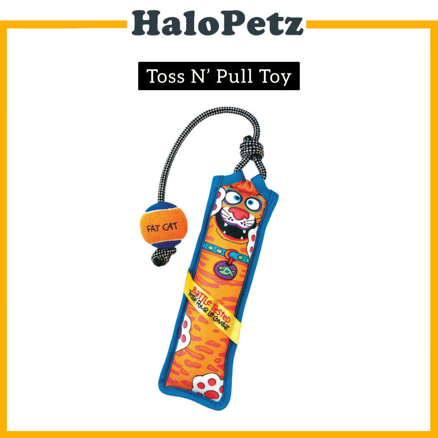 Petmate Fat Cat Mini Gruntleys | Toss N' Pull Dog Toy | Funny Bones Dog Toy