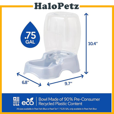 Petmate Cafe Waterer | Dog and Cat Water Food Dispenser
