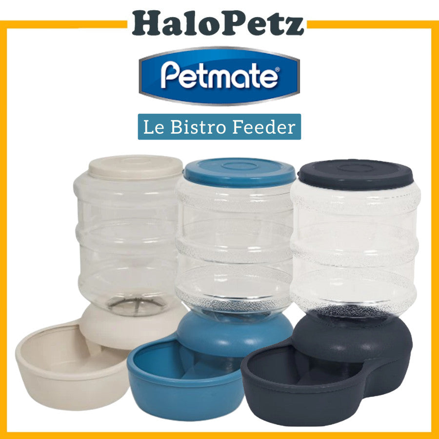 Petmate Aspen Le Bistro 10 lb Pet Feeder | Dog and Cat Feeder (RANDOM COLOR)