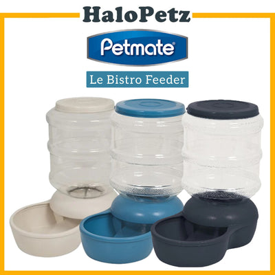 Petmate Aspen Le Bistro 10 lb Pet Feeder | Dog and Cat Feeder (RANDOM COLOR)