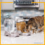 Petmate Cafe Waterer | Dog and Cat Water Food Dispenser