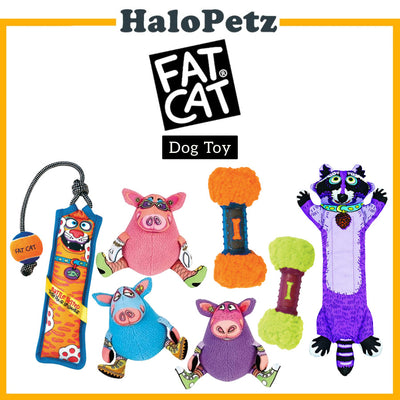 Petmate Fat Cat Mini Gruntleys | Toss N' Pull Dog Toy | Funny Bones Dog Toy