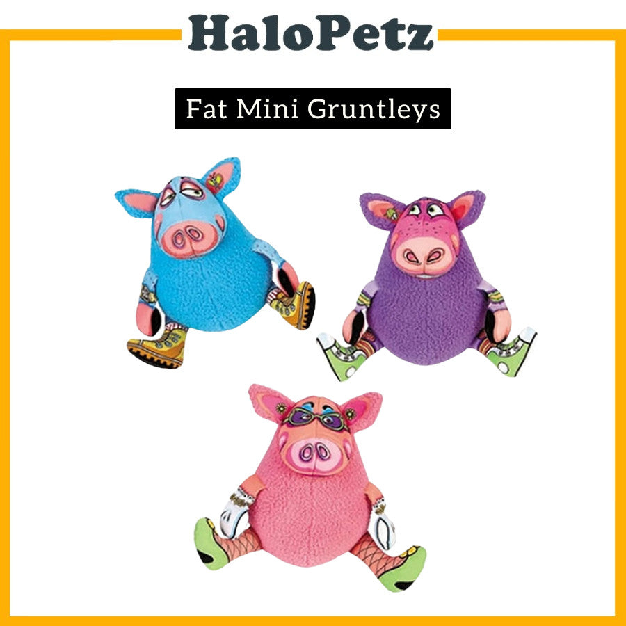 Petmate Fat Cat Mini Gruntleys | Toss N' Pull Dog Toy | Funny Bones Dog Toy