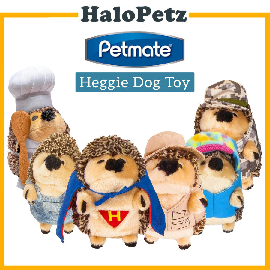 Petmate Zoobilee Heggie Dog Plush Toy | Tuff