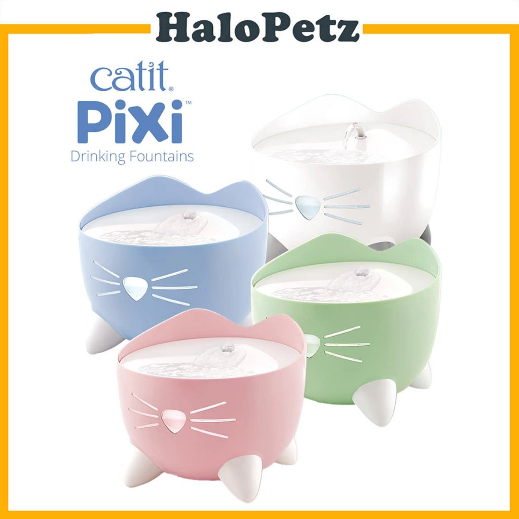 Catit Pixi Drinking Fountain | Cat Hydration | Water Filtration