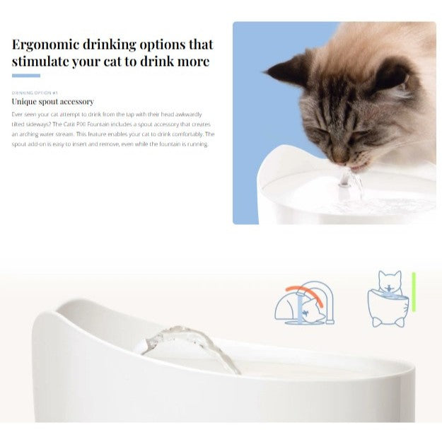 Catit Pixi Drinking Fountain | Cat Hydration | Water Filtration