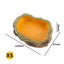 Reptile Resin Food & Water Bowl | Frog Tortoise Snake Gecko Hermit Crab