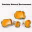 Reptile Resin Food & Water Bowl | Frog Tortoise Snake Gecko Hermit Crab