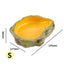 Reptile Resin Food & Water Bowl | Frog Tortoise Snake Gecko Hermit Crab