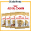 Royal Canin Adult Dog Dry Food | Poodle | Schanuzer | Cocker | Shih Tzu | Chihuahua | Dachshund | Pomeranian | Maltese