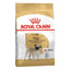 Royal Canin Adult Dog Dry Food | Poodle | Schanuzer | Cocker | Shih Tzu | Chihuahua | Dachshund | Pomeranian | Maltese
