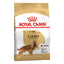 Royal Canin Adult Dog Dry Food | Poodle | Schanuzer | Cocker | Shih Tzu | Chihuahua | Dachshund | Pomeranian | Maltese