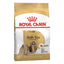 Royal Canin Adult Dog Dry Food | Poodle | Schanuzer | Cocker | Shih Tzu | Chihuahua | Dachshund | Pomeranian | Maltese