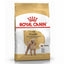 Royal Canin Adult Dog Dry Food | Poodle | Schanuzer | Cocker | Shih Tzu | Chihuahua | Dachshund | Pomeranian | Maltese