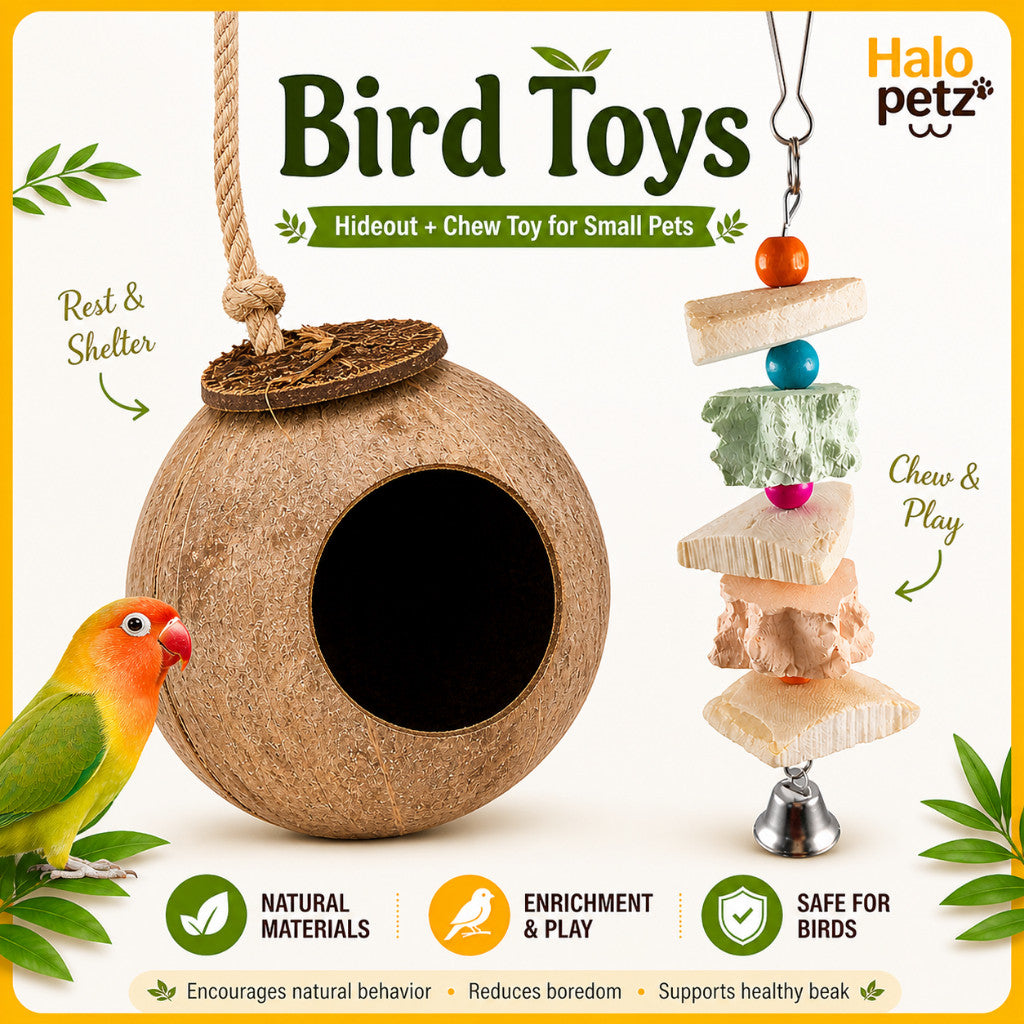 Bird Toy Accessories | Coconut Husk House for Birds | Rattan Ball Wooden Chew Toy