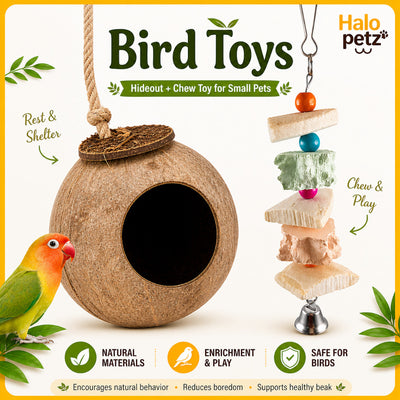 Bird Toy Accessories | Coconut Husk House for Birds | Rattan Ball Wooden Chew Toy