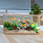 PET Transparent Fish Tank Aquarium with Cover