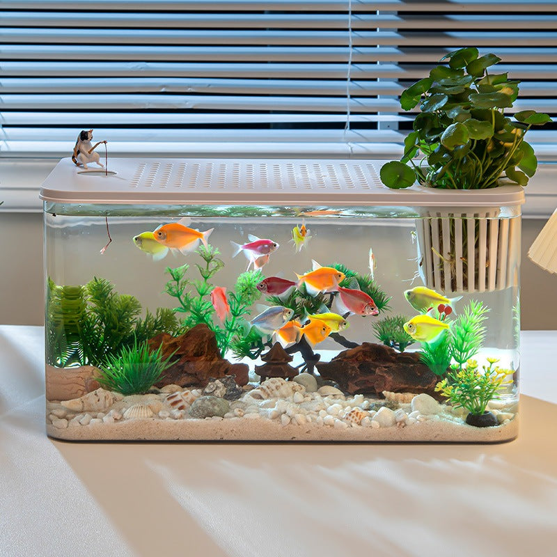 PET Transparent Fish Tank Aquarium with Cover