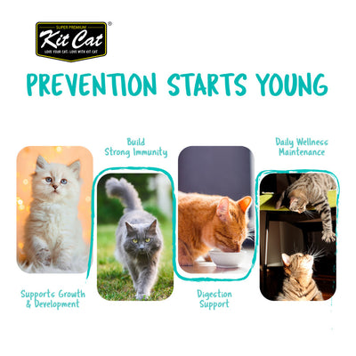 Kit Cat Daily Nutritional Supplement Gel For Cats & Kittens (5g x 30 sticks) | KitCat