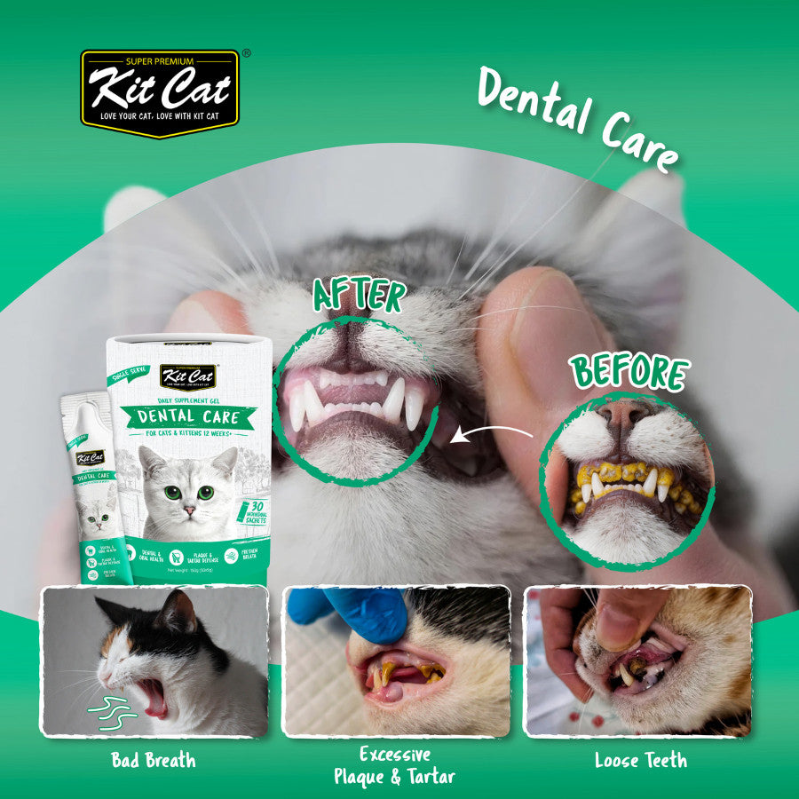 Kit Cat Daily Nutritional Supplement Gel For Cats & Kittens (5g x 30 sticks) | KitCat