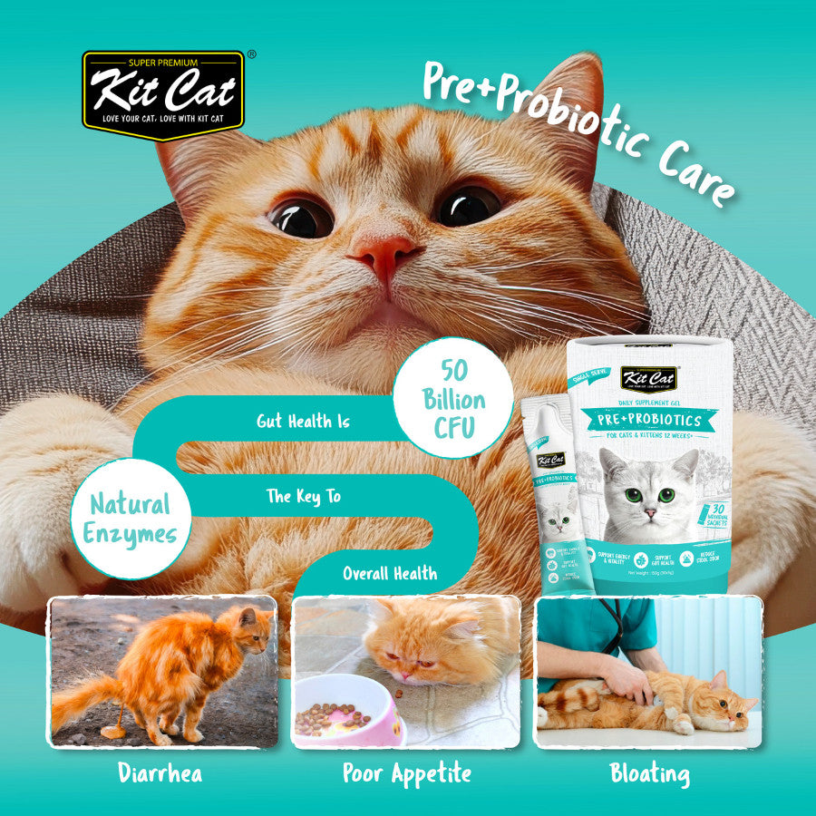 Kit Cat Daily Nutritional Supplement Gel For Cats & Kittens (5g x 30 sticks) | KitCat