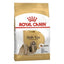 Royal Canin Adult Dog Dry Food | Poodle | Schanuzer | Cocker | Shih Tzu | Chihuahua | Dachshund | Pomeranian | Maltese