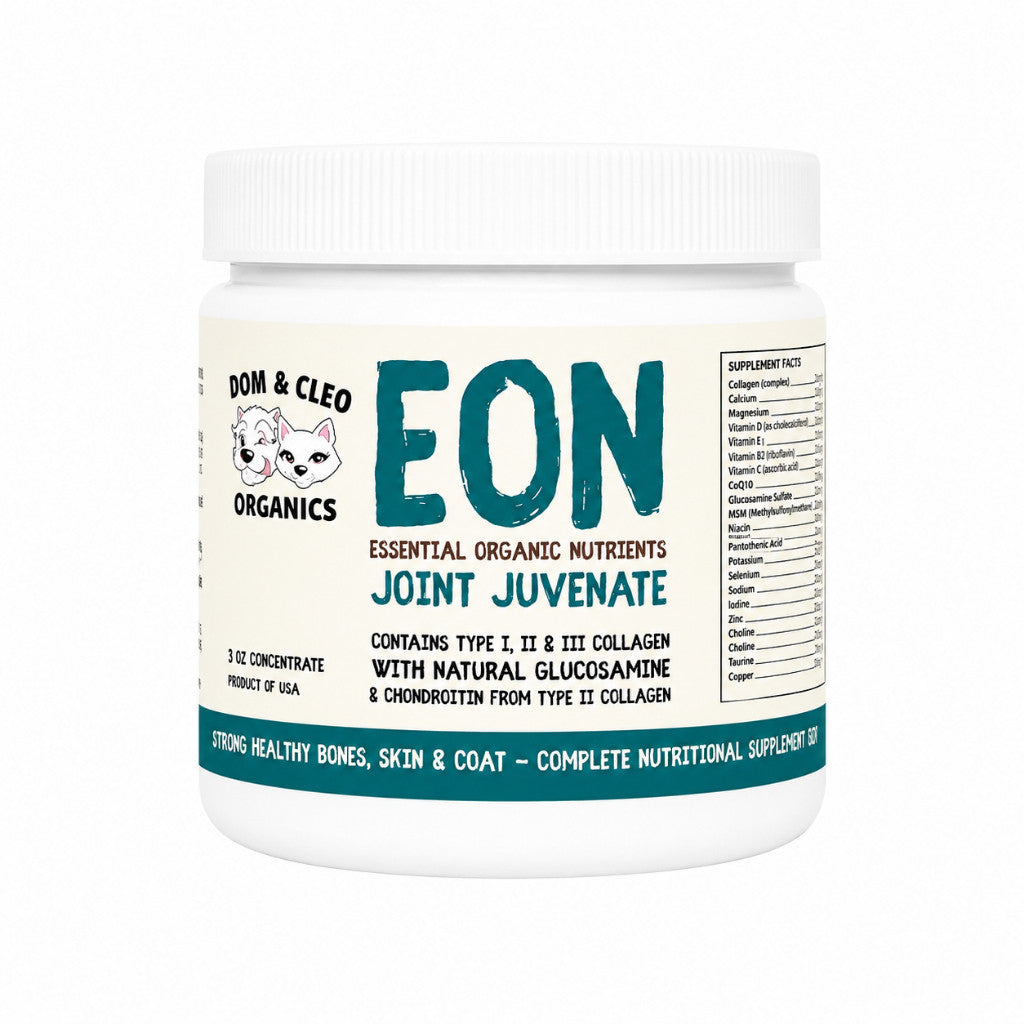 Dom & Cleo Supplement | Wild Fish | Cod Liver Oil | Panzyme | Joint | Probiotics | Dog & Cat | Digestive | Colostrum