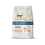 Quattro All Breed Dry Cat Food | Adult & Kitten | Poultry & Salmon