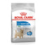 Royal Canin Mini Dog Food | Puppy Adult Digestive Care Dermacomfort Light Weight Care | Small Breed