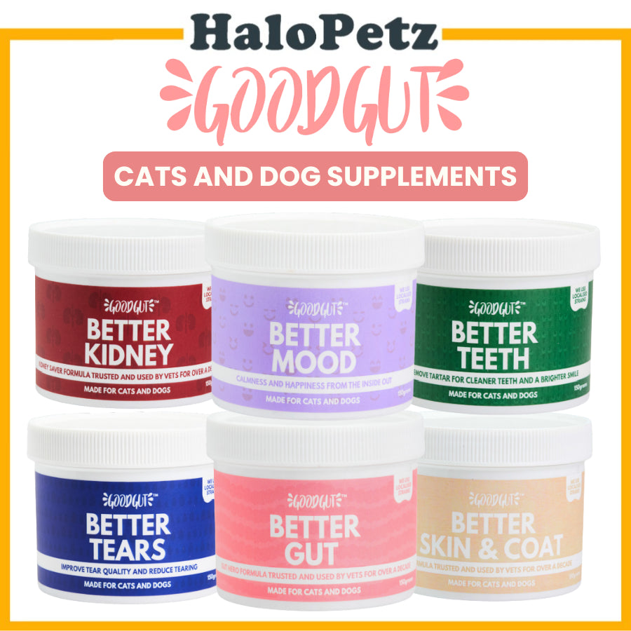 Good Gut Pet Supplements 150g | Gut, Skin, Kidney, Mood, Teeth & Tears for Cats & Dogs