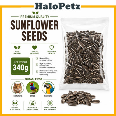 Large Sunflower Seeds 340g | Treat for Hamsters, Birds & Parrots