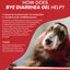 Good Gut Probiotics Gel and Bye Diarrhea Gel for Pets -15ml