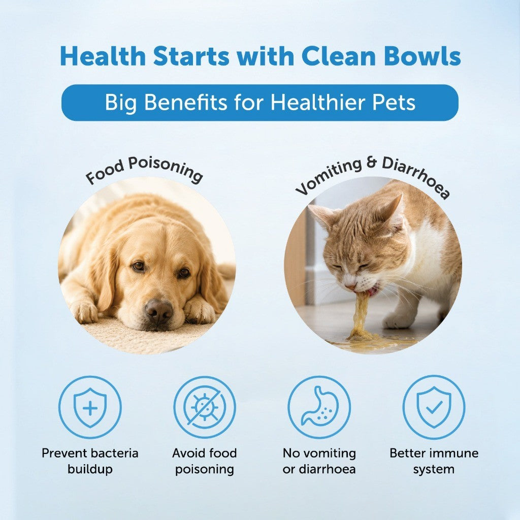 Loveabowl Clean-A-Bowl Pet-Safe Multi-Purpose Foam Wash 500ml | Apple & Unscented | Bowl, Toy & Fabric Cleaner | Odour