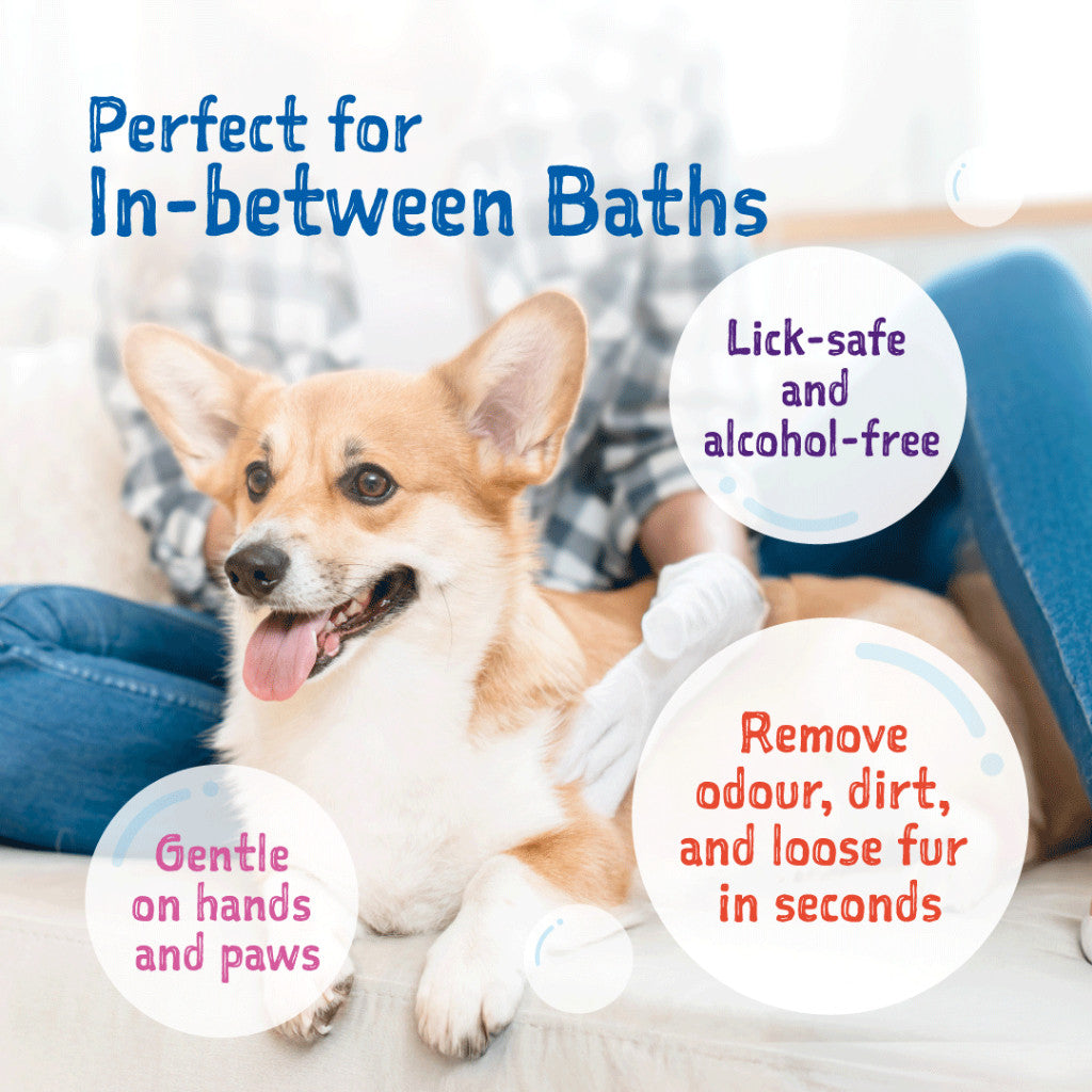 Loveabowl Clean-A-Dog & Clean-A-Cat Stress-Free Pet Cleaning Gloves 10pcs | Waterless Grooming Wipes | Cica, Cherry Blos