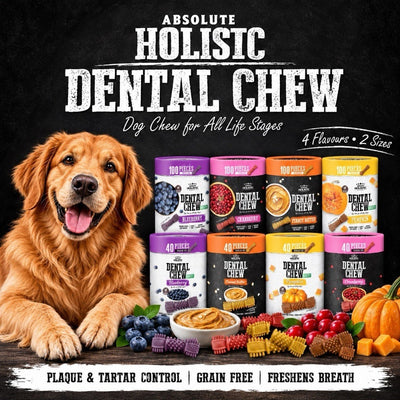 Holistic Dental Chew Dog Chew for All Life Stages Blueberry Cranberry Peanut Butter Pumpkin