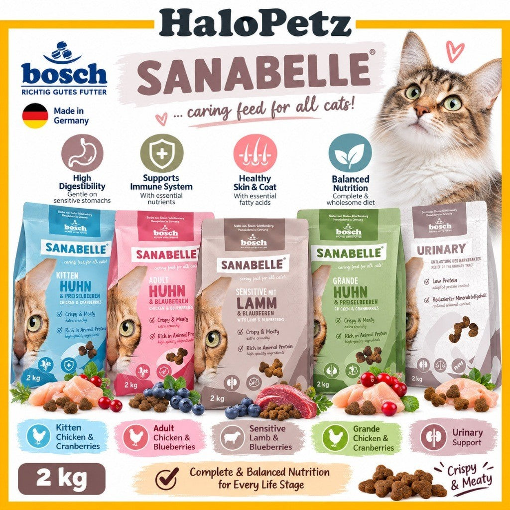 Sanabelle Cat Dry Food 2kg Kitten Adult Sensitive Lamb Poultry Urinary Hair & Skin Grande