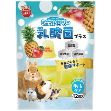 Marukan Jelly for Small Animals | Gourmet, Hydration, Tummy-Nice & Super Food | Rabbit Hamster Guinea Pig Treat