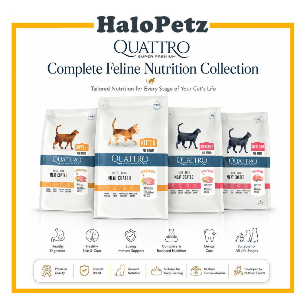 Quattro All Breed Dry Cat Food | Adult & Kitten | Poultry & Salmon