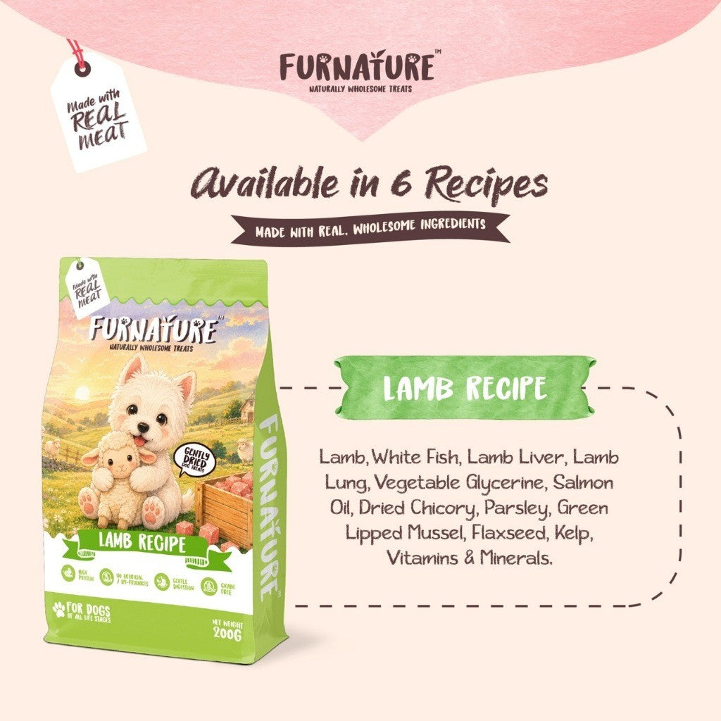 FurNature Natural Wholesome Gently Dried Dog Treats