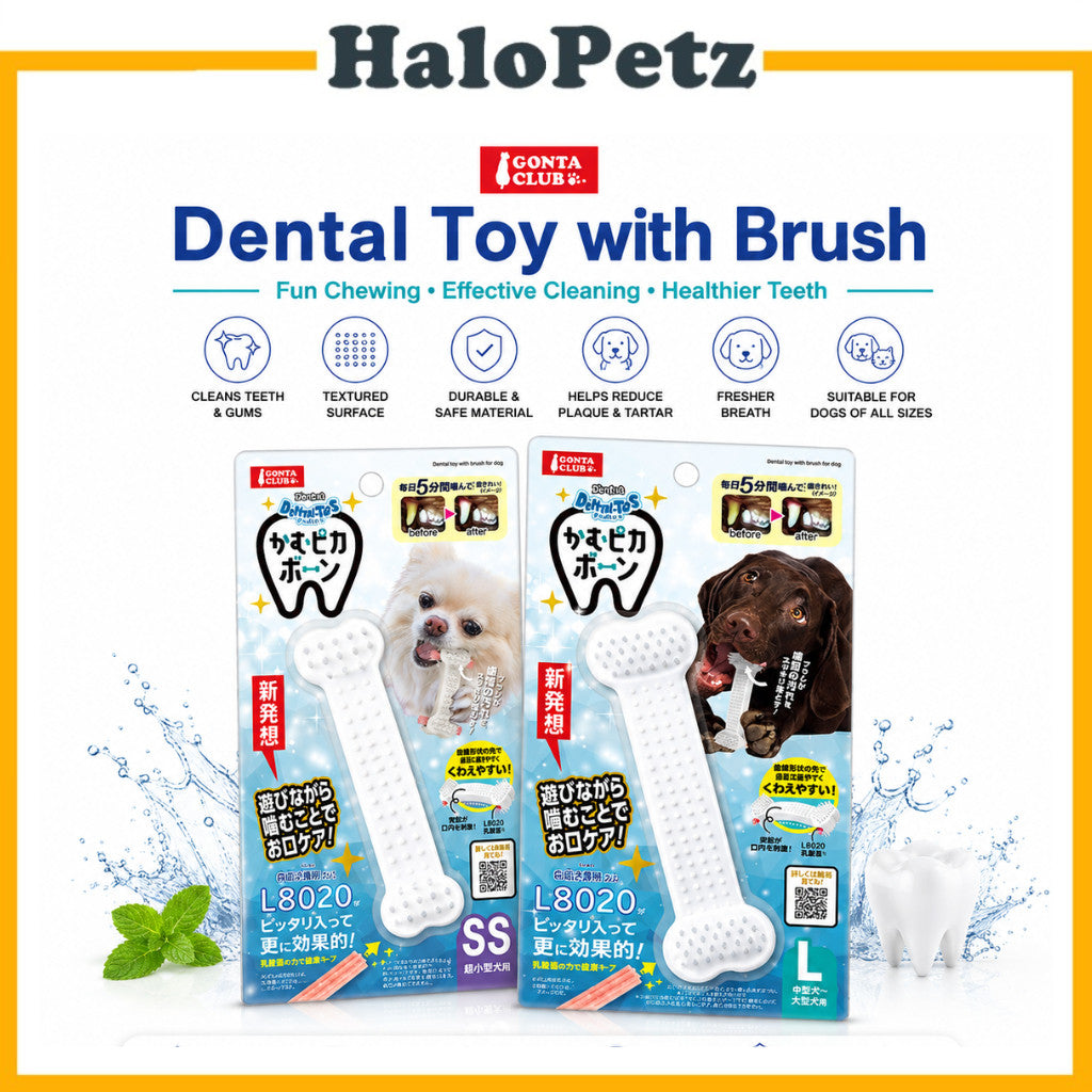 Marukan Dental Toy with Brush for Dogs | SS & L | Treat Dispensing Chew Toy | Plaque Cleaning Dental Toy
