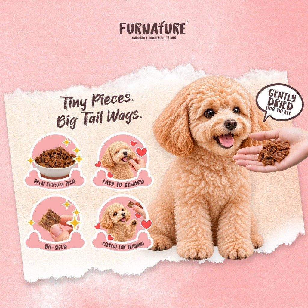 FurNature Natural Wholesome Gently Dried Dog Treats