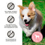 Primal Freeze Dried Raw Dog Treats 2oz | Butter Banana Pumpkin Maple Flavours