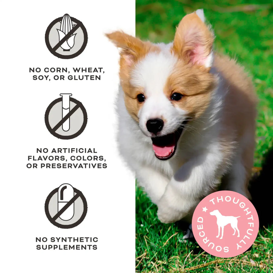 Primal Freeze Dried Raw Dog Treats 2oz | Butter Banana Pumpkin Maple Flavours