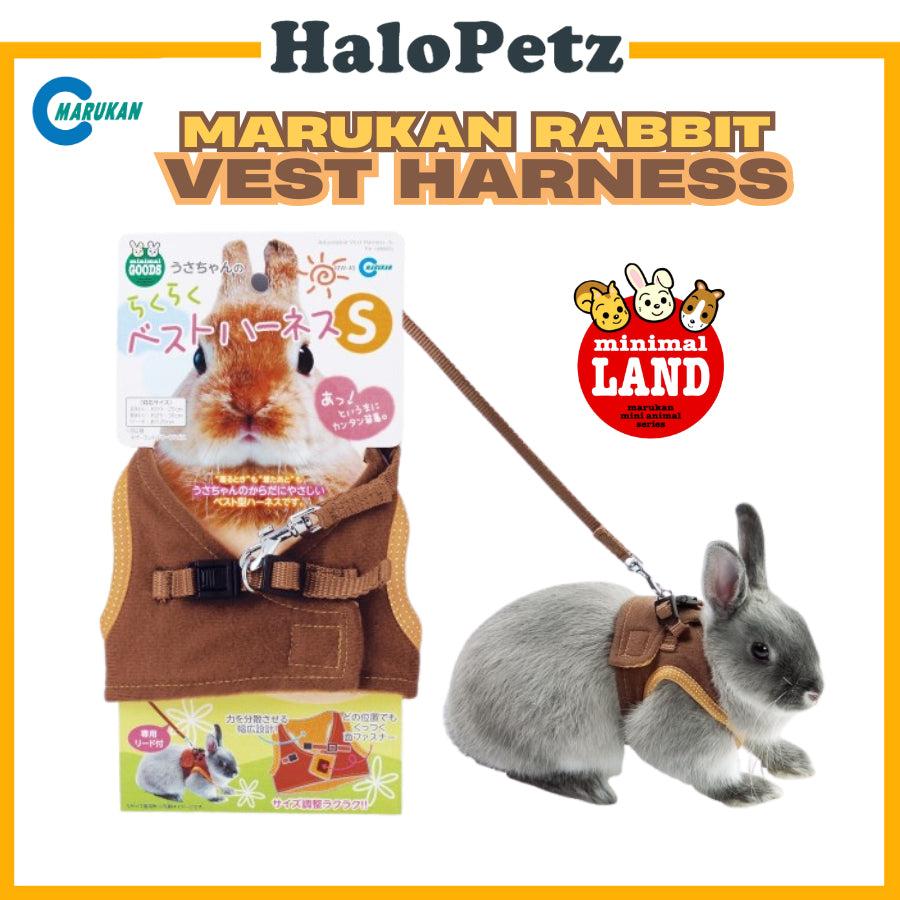 Marukan Hamster Wheel | Chew Toys | Running Ball | Tunnels Wheel | Harness
